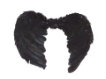 Wings black