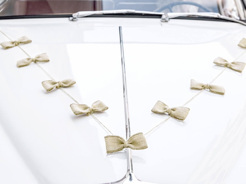 A set of car decorations Bows - 4 elements.