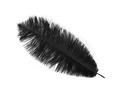 Ostrich Feather Black Big 30 cm