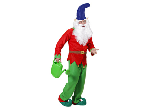 Elf shoes