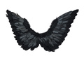 Skrzydła anioła czarne 72 x 40 cm