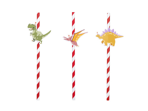Drinking Straws - 6 pcs