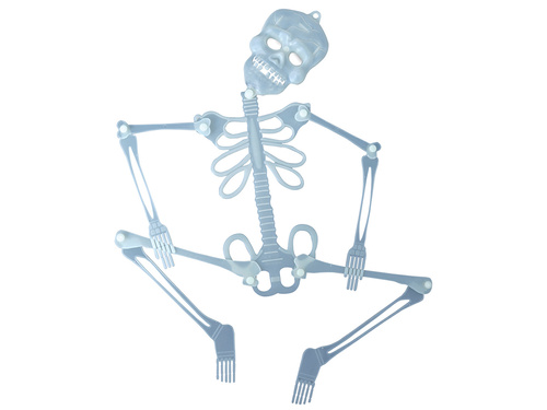 Fluorescent skeleton - 75 cm - 1 pc