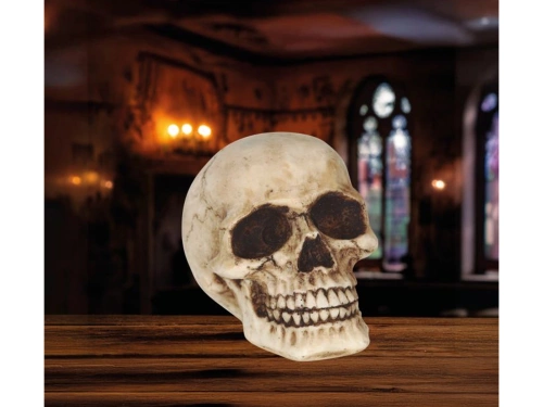 Skull - 1 pc
