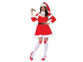 Ladies Costume Santa