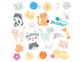 Washable tattoos Cats - 23 pcs.