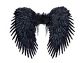 Angel wings black