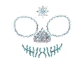 Facial Adhesive Decorations