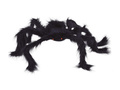 Black Spider 60  cm