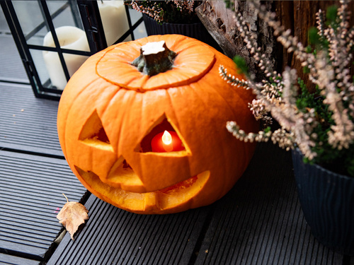 Pumpkin Carving Kit - 1 pc