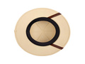 Hunter hat