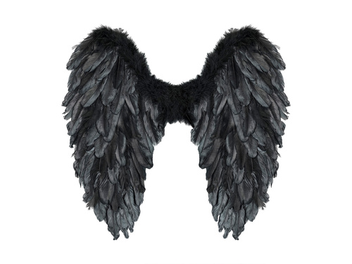 Wings black