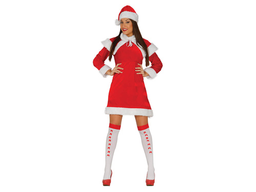 Ladies Costume Santa