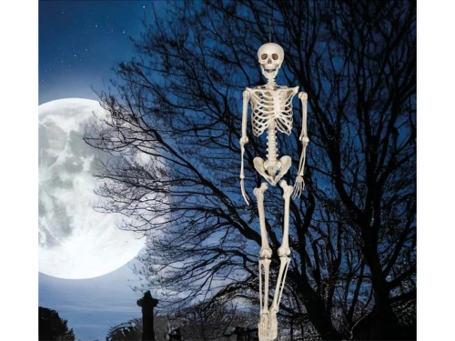 Skeleton Pendant - 160 cm