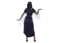 Nefertiti Egyptian Queen Costume