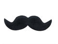 Moustache
