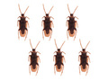 Set Cockroaches - 6 pcs.