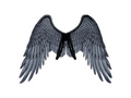 Angel wings grey 65 x 65