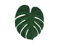 Set 4 palm leaves, 34x30 cms