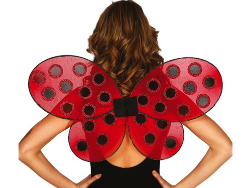 Little Ladybird Wings