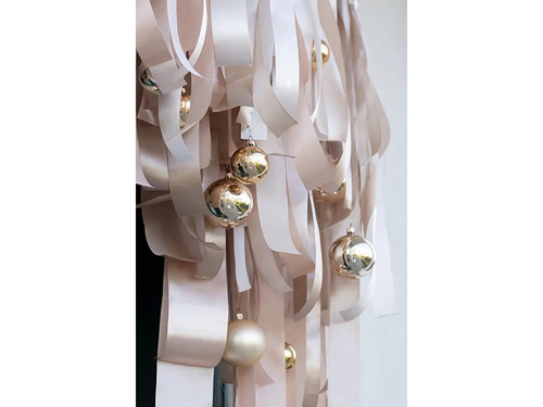 Ribbon - 25mm/25m - 1 pc