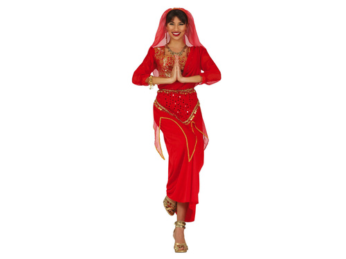 Adult Indian woman Costume