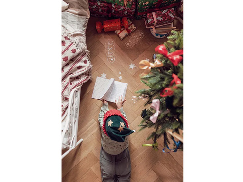 Greeen/red christmas hat