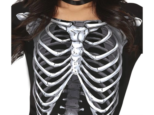 Adult Skeleton