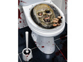Naklejka na deskę toaletową Zombie na Halloween