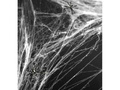 Spider web with 2 spiders - Halloween web - 60 g.