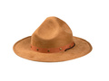 Hunter hat