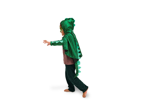 Dragon Costume