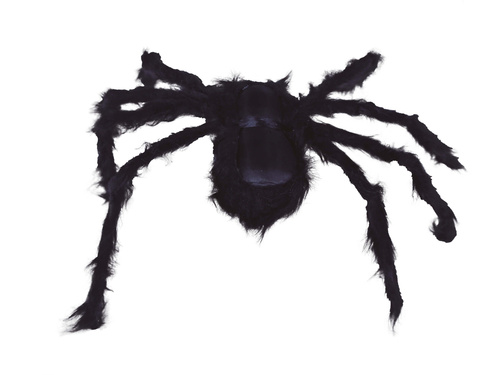 Black Spider 150 cm