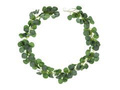 Eucalyptus garland - 180 cm - 1 pcs.