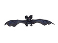 Bat Decoration