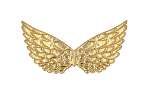 Gold Angel Wings - 23 x 45 cm