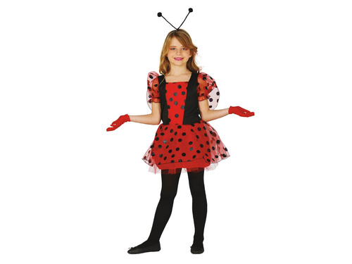 Little ladybird