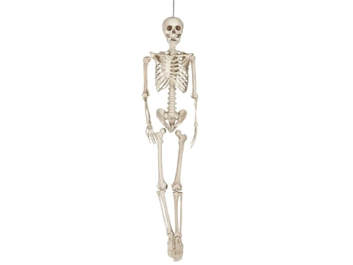 Skeleton Pendant - 160 cm