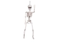 Skeleton Pendant - 60 cm