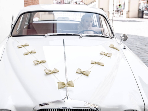 A set of car decorations Bows - 4 elements.