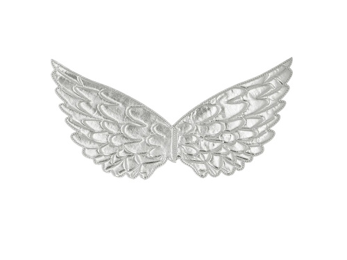 Silver Angel Wings - 23 x 45 cm