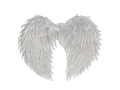 Angel wings silver - 50 x 55 cm
