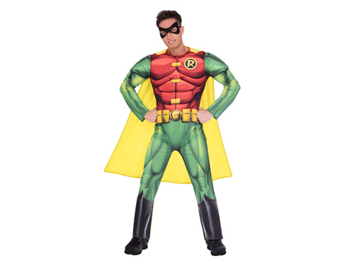 Robin costume for a man