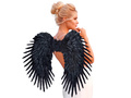 Angel wings black