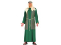 Joseph costume for a man - green
