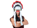 Indian Feather Headdress