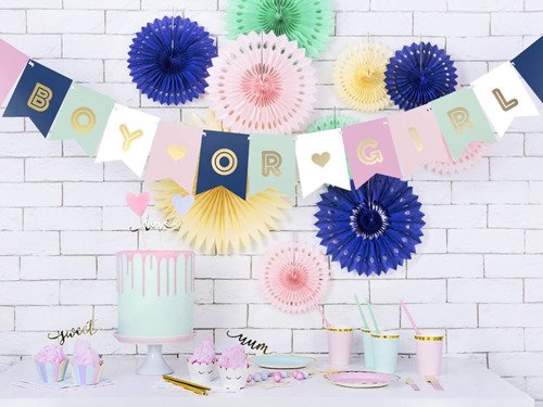 Baner na Baby Shower Boy or Girl - 175 cm - 1 szt.